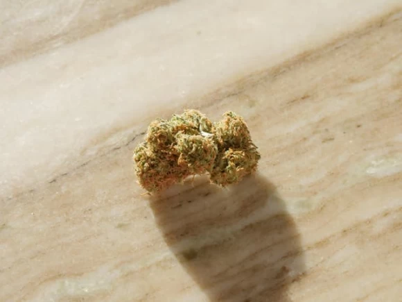 Why Is Dispensary Weed So Dry How To Dry Cannabis In Paper Bag: The Ultimate Guide | Cannabis