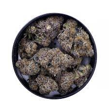 Purple Truffle strain