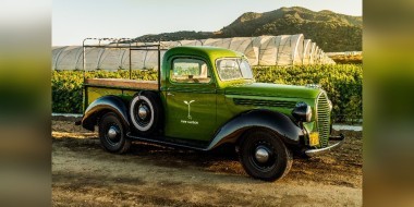 Raw garden truck banner