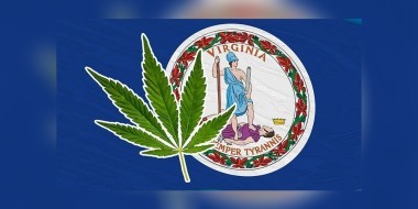 Virginia flag and marijuana leaf on a banner