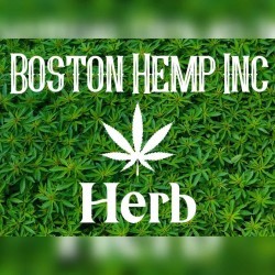 Boston Hemp mobile