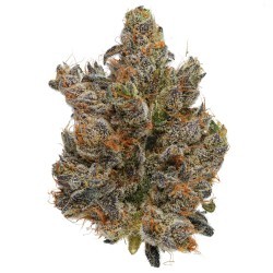 dark karma by fig farms