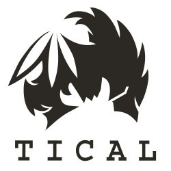 TICAL logo for mobile