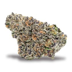 mobile image of 41 cherries strain 