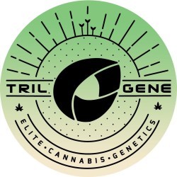 Logo for Trilogene_Seeds_v2