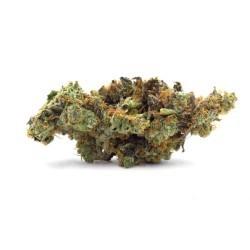 Blue Gushers cannabis strain