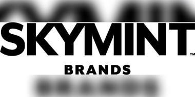 Skymint