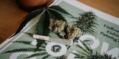 Cannabis buds on magazine