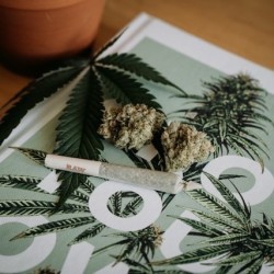 rolling a raw joint on a magazine