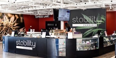 Stability Cannabis