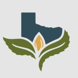  Texas original logo
