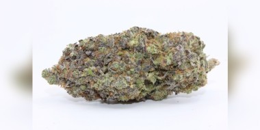 Gary Satan cannabis strain