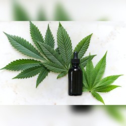 Medica cannabis image for mobile