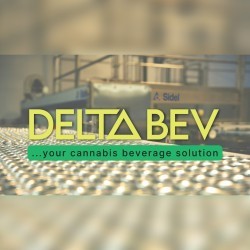 logo for delta bev