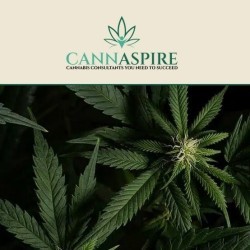 Cannaspire new website image
