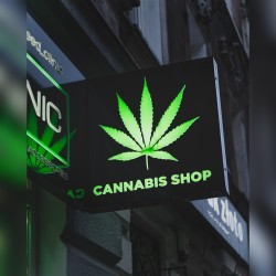 Night lighting at cannabis shop