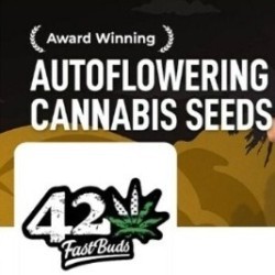 Fast Buds Twitter square