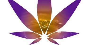 Infused banking banner
