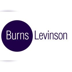 Burns Levinson logo mobile