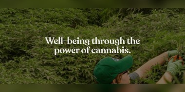 Banner for Green Thumb