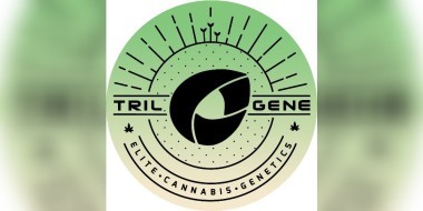 Trilogene_Seeds_v2_Logo banner