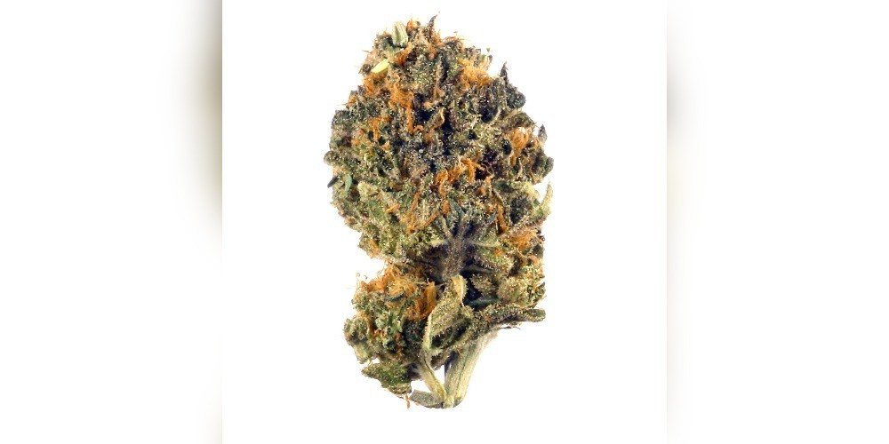 Purple Truffle Strain What You Need To Know Cannabis Products World