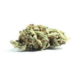 image of Kush Mint Strain
