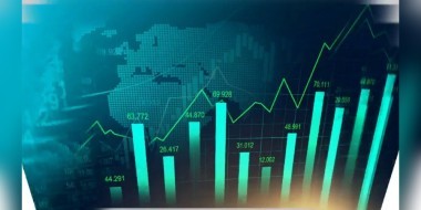 Growth report for Cannabis