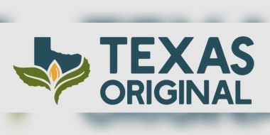 Texas original banner image