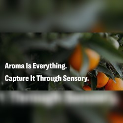 Aroma mobile