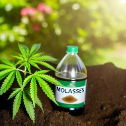 Weed molasses