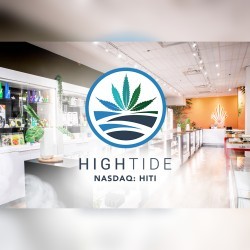 High tide logo for mobile