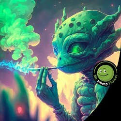 Best Songs to Listen to When High