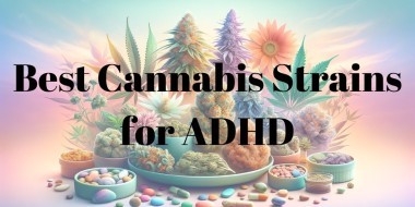 Best cannabis strains for ADHD