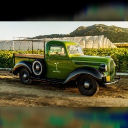 Raw garden truck mo