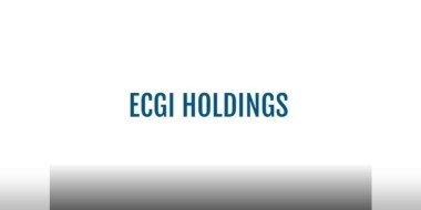 ECGI Holdings logo banner