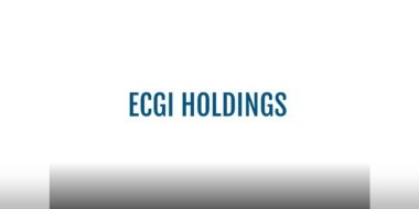 ECGI Holdings logo banner